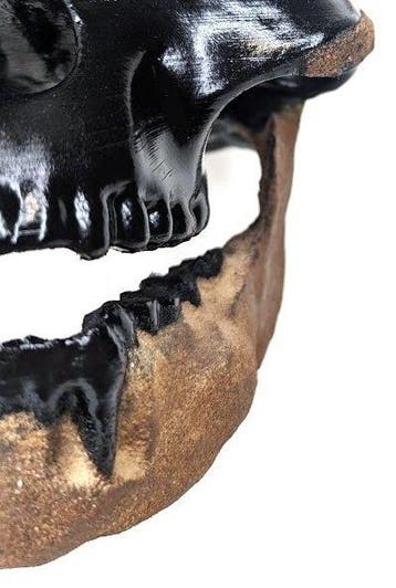 Fossiele schedel - Australopithecus afarensis “Lucy” (AL