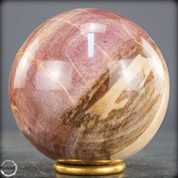 Natuurlijk versteend hout als bol – Intense houtnering in