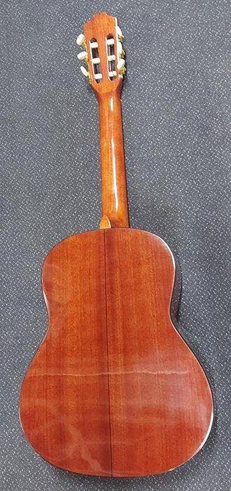 Motion - TC983 Solid Top - - Akoestische gitaar, Musique & Instruments