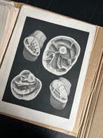 Lesmateriaal - Nicolas-Henri Jacob & Jean Baptiste Marc