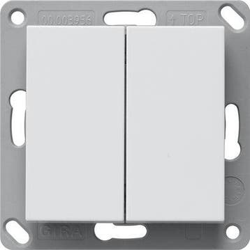 Gira 246227 Transmetteur Mural Bluetooth 2 Gang Système 55 -, Verzenden