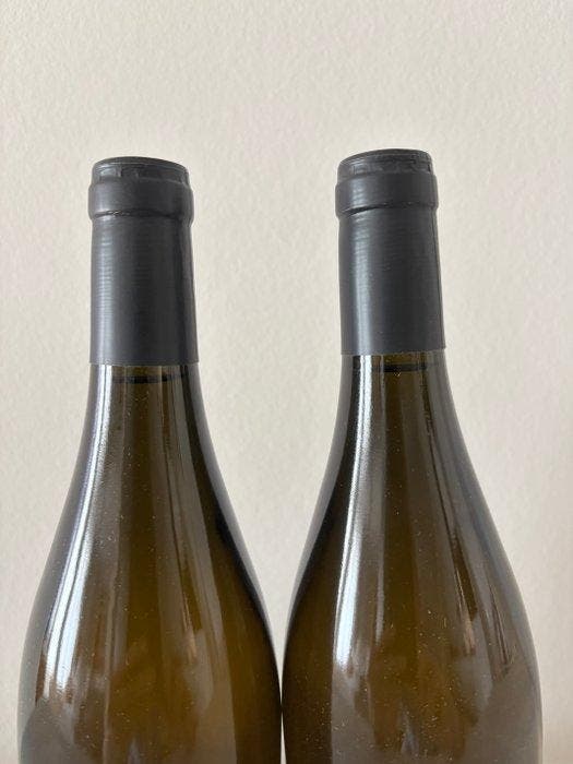 2021 Domaine Pierre Boisson - Meursault - 2 Flessen (0.75, Collections, Vins