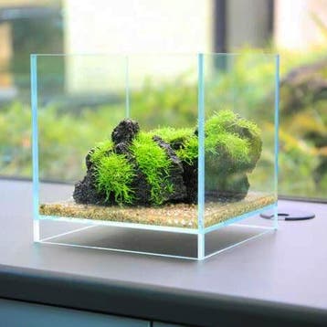 DOOA Neo Glass AIR, Dieren en Toebehoren, Verzenden, Nieuw
