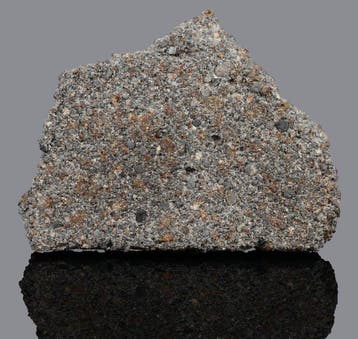 Météorite de Saratov Tranche - 28 g - (1)