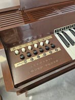 Magnus Electric Chord Organ - - Muziekinstrumenten -, Nieuw