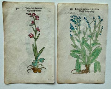 Leonhart Fuchs - Primi de stirpium historia commentariorum