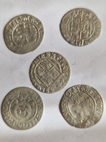 Polen. Pógrosz (Half Gram / Half Grosz 1544. (Zonder