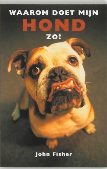 Waarom doet mijn hond zo 9789038910079 Jude Fisher, Boeken, Verzenden, Zo goed als nieuw, Jude Fisher
