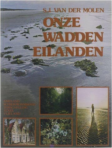 Carlota Fainberg - Van Der Molen SJ, Verzenden, Nieuw