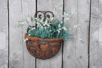 Ornement décoratif (2) - Jardinière murale