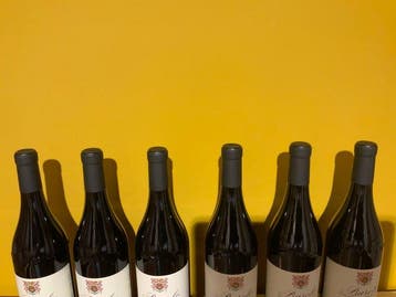 2017 E. Pira e Figli, Chiara Boschis Mosconi - Barolo DOCG -, Nieuw