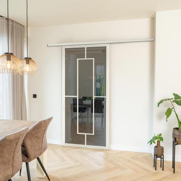 Stalen Schuifdeur met koofsysteem Wit 5 Vlaks Rook glas