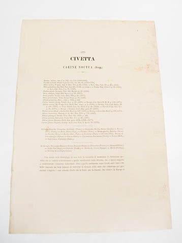 Giglioli/Manzella - Iconografia della Avifauna Italica N.