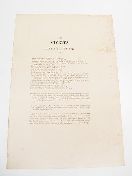 Giglioli/Manzella - Iconografia della Avifauna Italica N., Antiquités & Art, Antiquités | Livres & Manuscrits