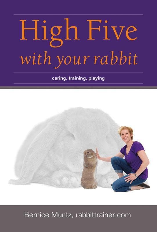 High five with your rabbit 9789081771320 Bernice Muntz, Boeken, Taal | Engels, Gelezen, Verzenden