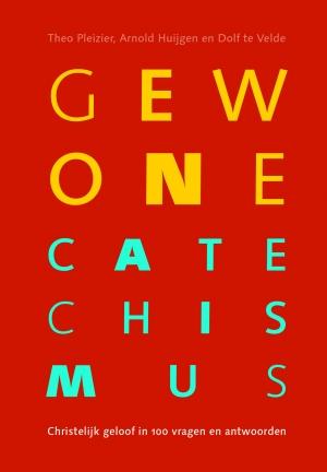 Gewone Catechismus 9789023954903 Theo Pleizier, Verzenden, Zo goed als nieuw, Theo Pleizier