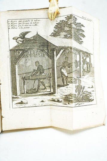 R.P. Labat - Nouveau voyage aux isles de lAmerique - 1742