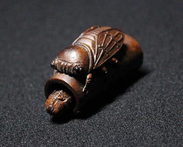 Netsuke japonais en bois ancien - cigale karakuri sur bambou, Antiquités & Art