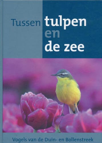 Tussen tulpen en de zee 9789080530805 Peter Spierenburg, Verzenden, Zo goed als nieuw, Peter Spierenburg