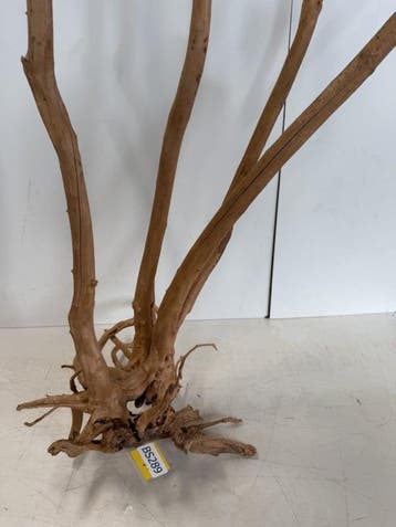 Boutique Stump Selected BS289 - 110x57x46cm, Ophalen of Verzenden, Plant(en), Steen of Hout