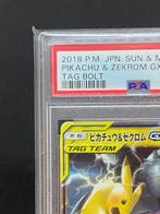 Pokémon - 1 Graded card - Pikachu, Zekrom #031/095 RR - PSA, Nieuw