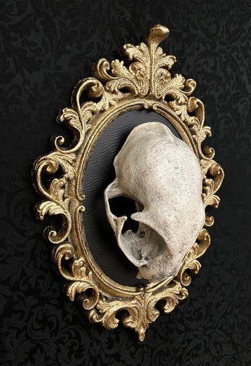 WT Horror Art - WT Horror Art - sculptuur, Gothic Skull Cat