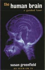 Human Brain 9780753801550 Susan Greenfield, Boeken, Verzenden, Gelezen, Susan Greenfield