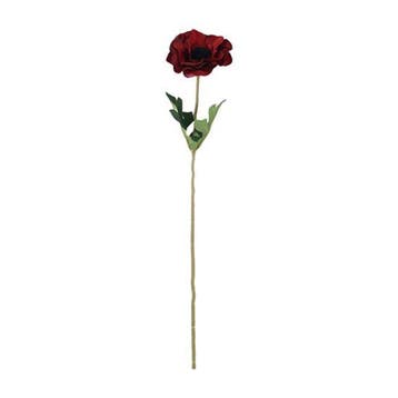 Anemoon Rood/Zwart Zijdenbloem 48 cm per stuk, Nieuw
