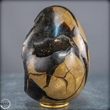 Septarien calciet geode ei – monumentaal luxeobject uit