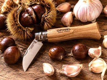Opinel Opinel N°07 Castagna – Coltello da Castagne e Frutta