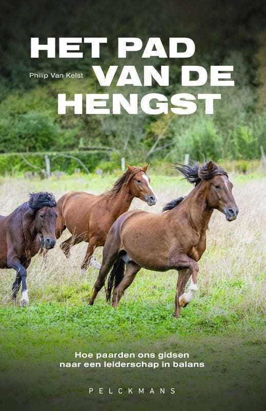 Het Pad Van De Hengst | Philip Van Kelst | Nieuw, Livres, Livres Autre, Envoi