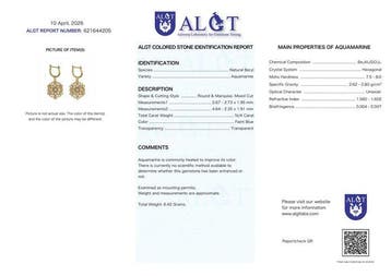 Zonder minimumprijs - Oorbellen Zilver - Aquamarijn -
