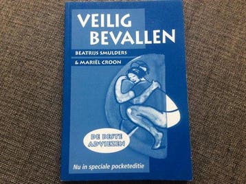 Veilig bevallen pocketeditie 9789021544533 Beatrijs Smulders, Boeken, Verzenden, Gelezen, Beatrijs Smulders