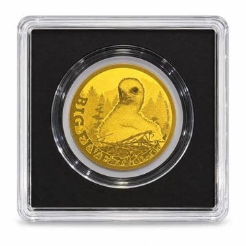 Tsjaad. 5000 Francs 1/200 oz 999 Fine Gold 5000 CFA Francs