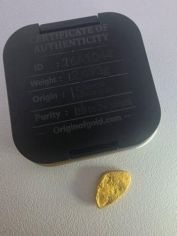 Goud Vrije vorm- 2.49 g - (1)