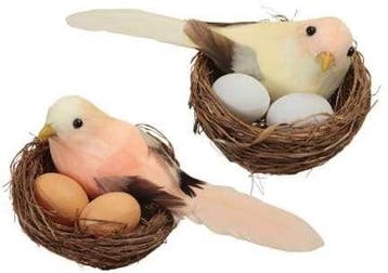 Vogelnestjes met 1 vogel en 2 eitjes yellow orange zalm 7.5