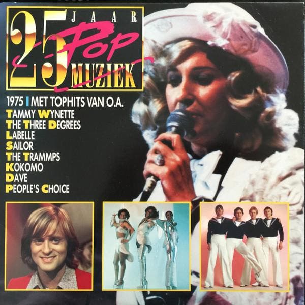 Various - 25 Jaar Popmuziek 1975, Cd's en Dvd's, Vinyl | Pop, Gebruikt, Verzenden