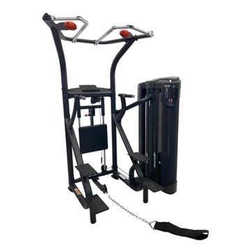 Inspire DUAL Station Chin Up, Verzenden