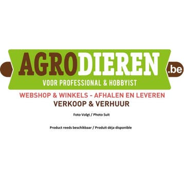 Betonpaal - betonnen hoekpaal - grijs - h 248cm gleuf 4cm -