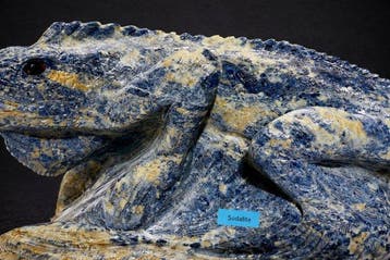 Géante sculpture de lézard en sodalite – Chef-dœuvre de 18