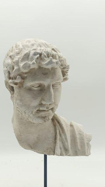 sculptuur, Adriano - 38 cm - marmerpoeder