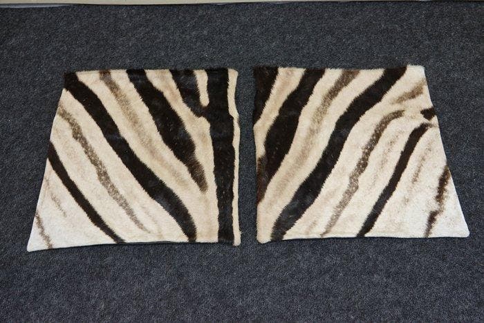 real zebra skin covers - Coussin (2), Antiquités & Art, Art | Objets design