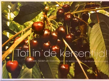 Tot in de kersentijd! 9789090208060 F. Smink, Boeken, Verzenden, Zo goed als nieuw, F. Smink