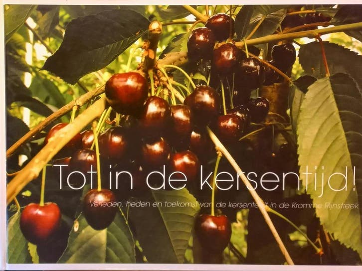 Tot in de kersentijd! 9789090208060 F. Smink, Boeken, Reisgidsen, Zo goed als nieuw, Verzenden
