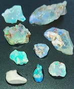 Australian Lighting Ridge Opal 26,45 ct Ruw- 5.29 g - (9)