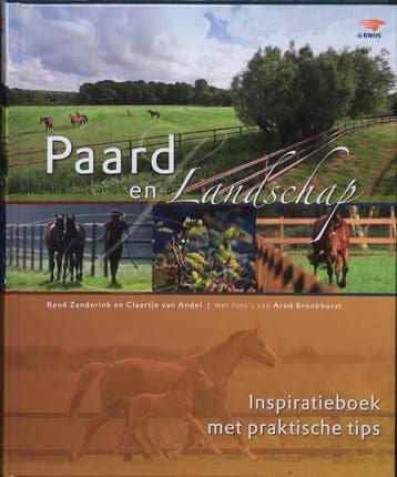 Paard en landschap 9789059562790 R. Zanderink, Verzenden, R. Zanderink