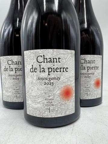 2023 Terra Vita Vinum Chant de la Pierre - Anjou - 6