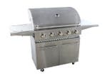 Veiling - RVS Gasbarbecue - 5 branders met zijbrander, Tuin en Terras, Gasbarbecues, Nieuw