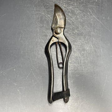 Flower Arrangement Bonsai Sentei | Japanese Scissors, Plant