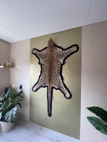 Jachttrofee, Collections, Collections Animaux